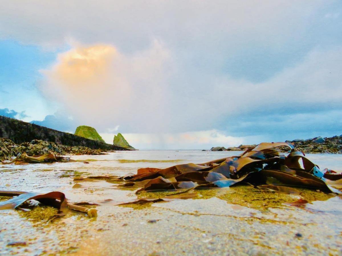 Windhaven Camping And B&B Thurso Exteriér fotografie