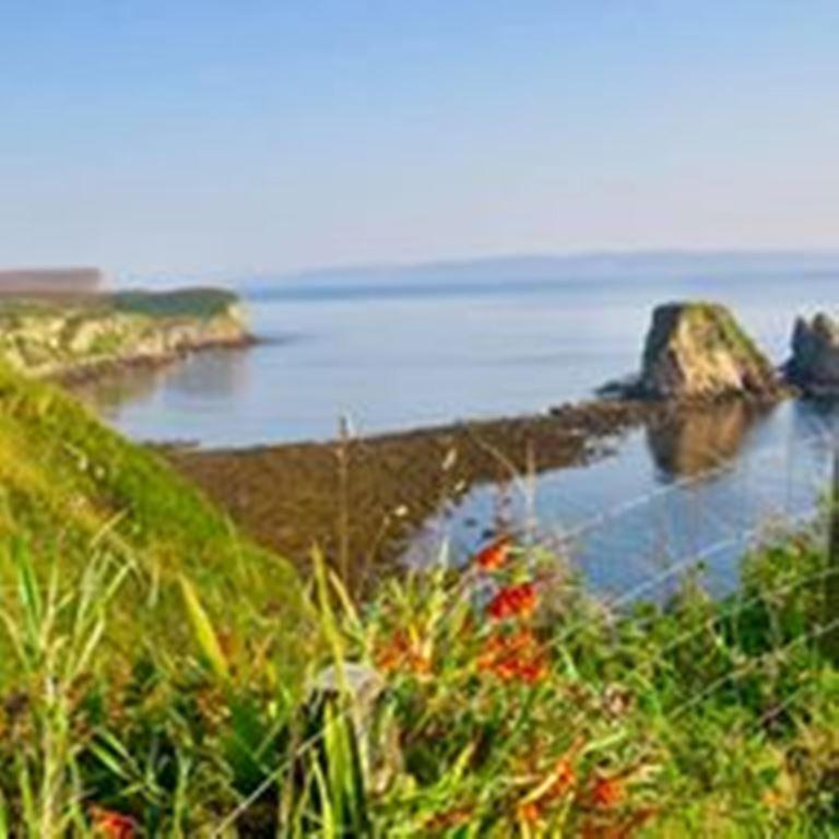 Windhaven Camping And B&B Thurso Exteriér fotografie
